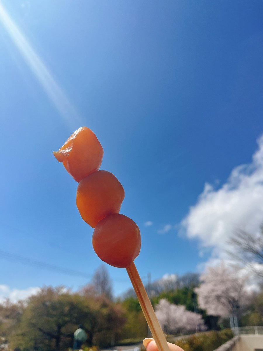 浜崎美保 Hamasaki Miho tweet media