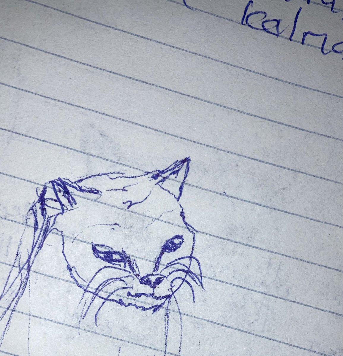 Racizâde tweet media