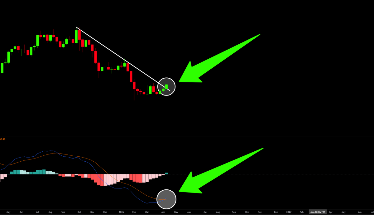 Tyler Strejilevich tweet media