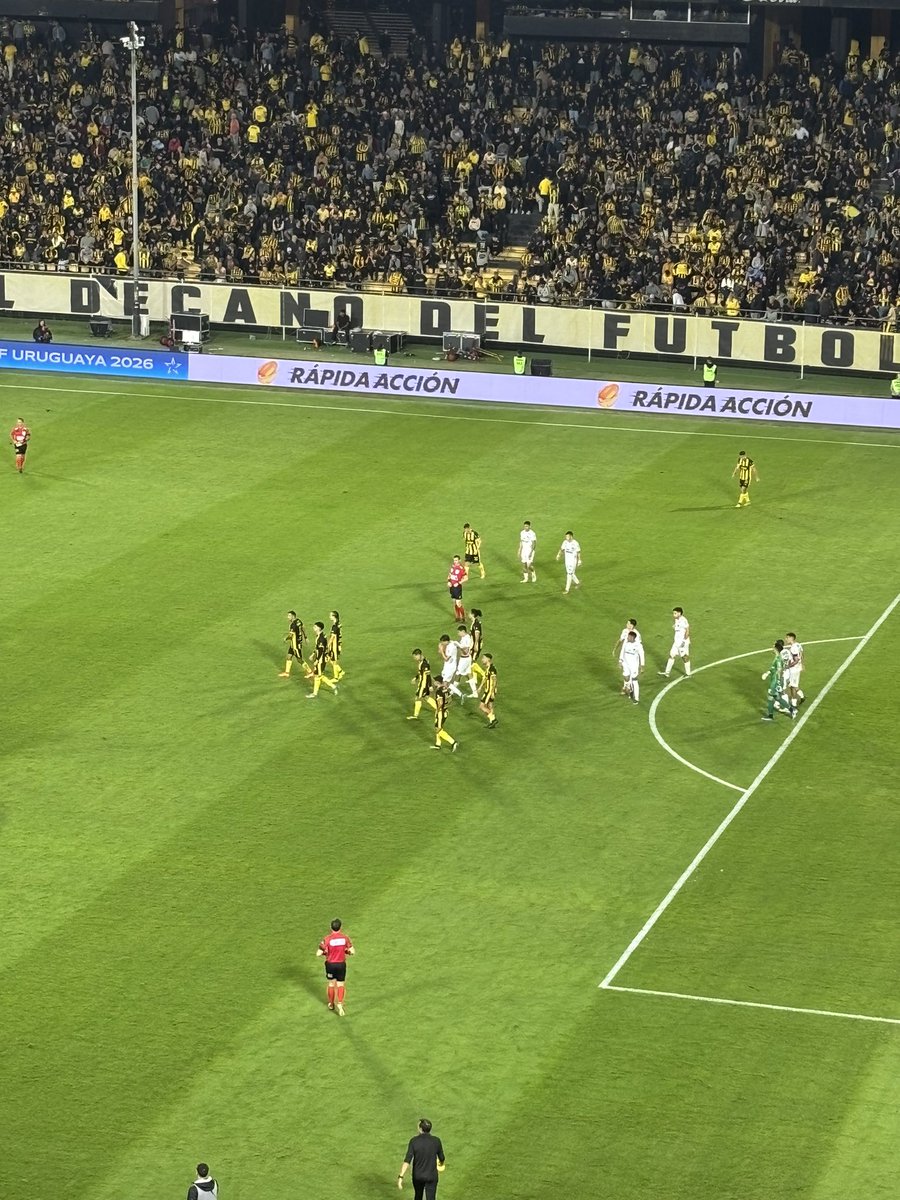 Franco Trucce tweet media