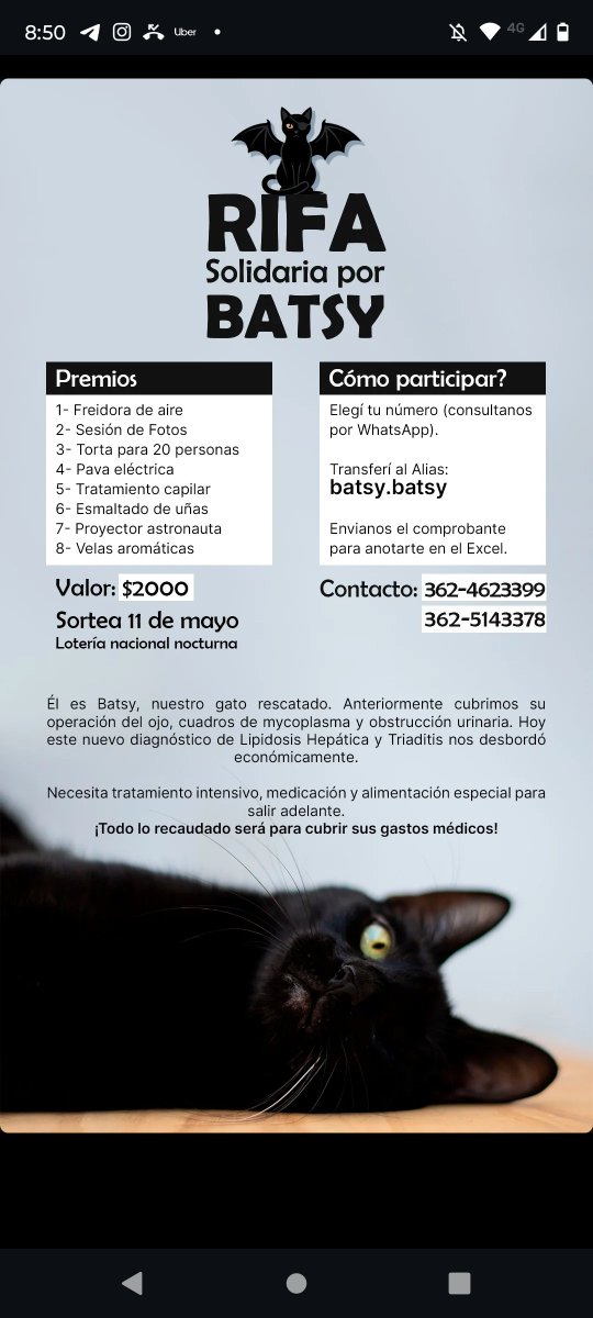 Agostina Conci tweet media