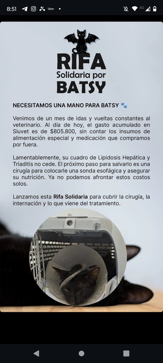 Agostina Conci tweet media