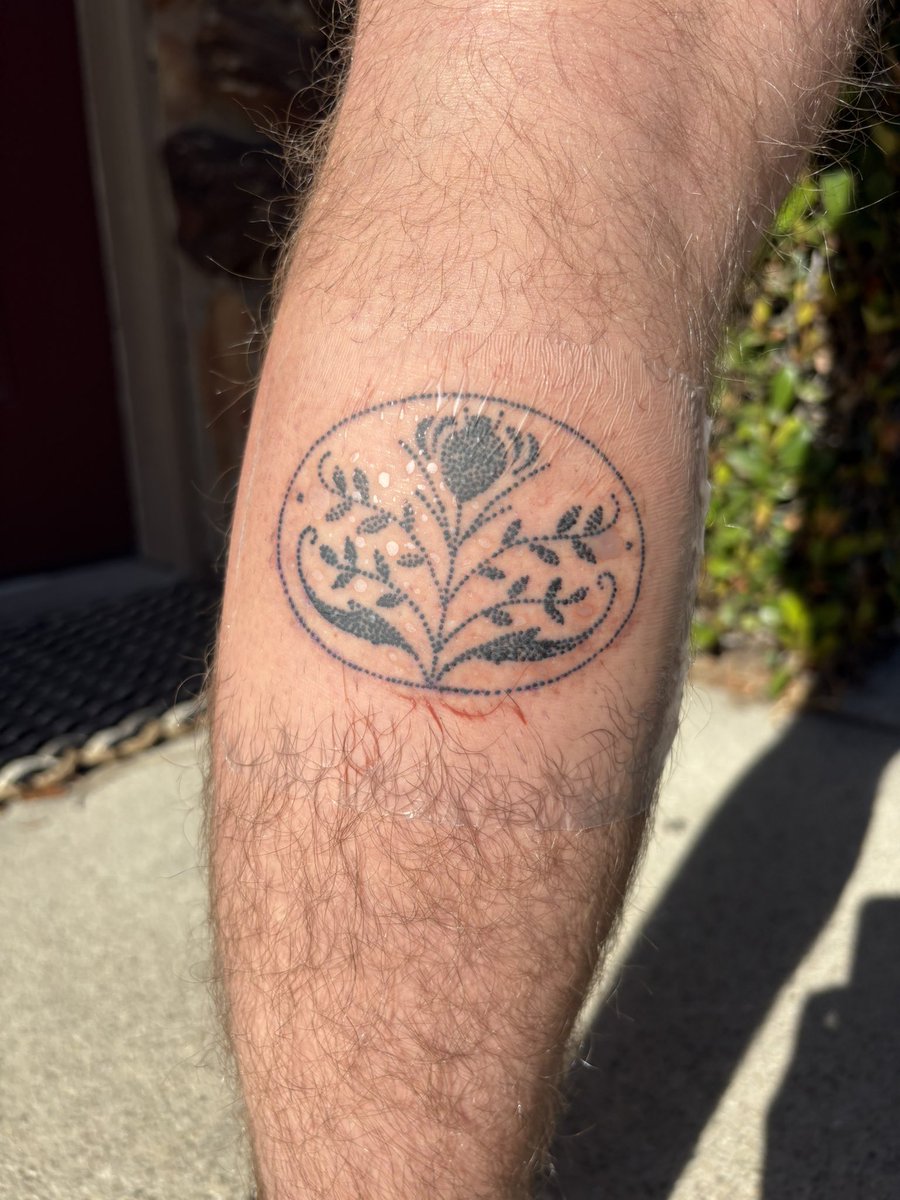 Peeta the horse is here