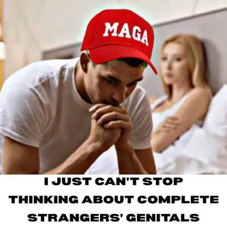 architelligent tweet media