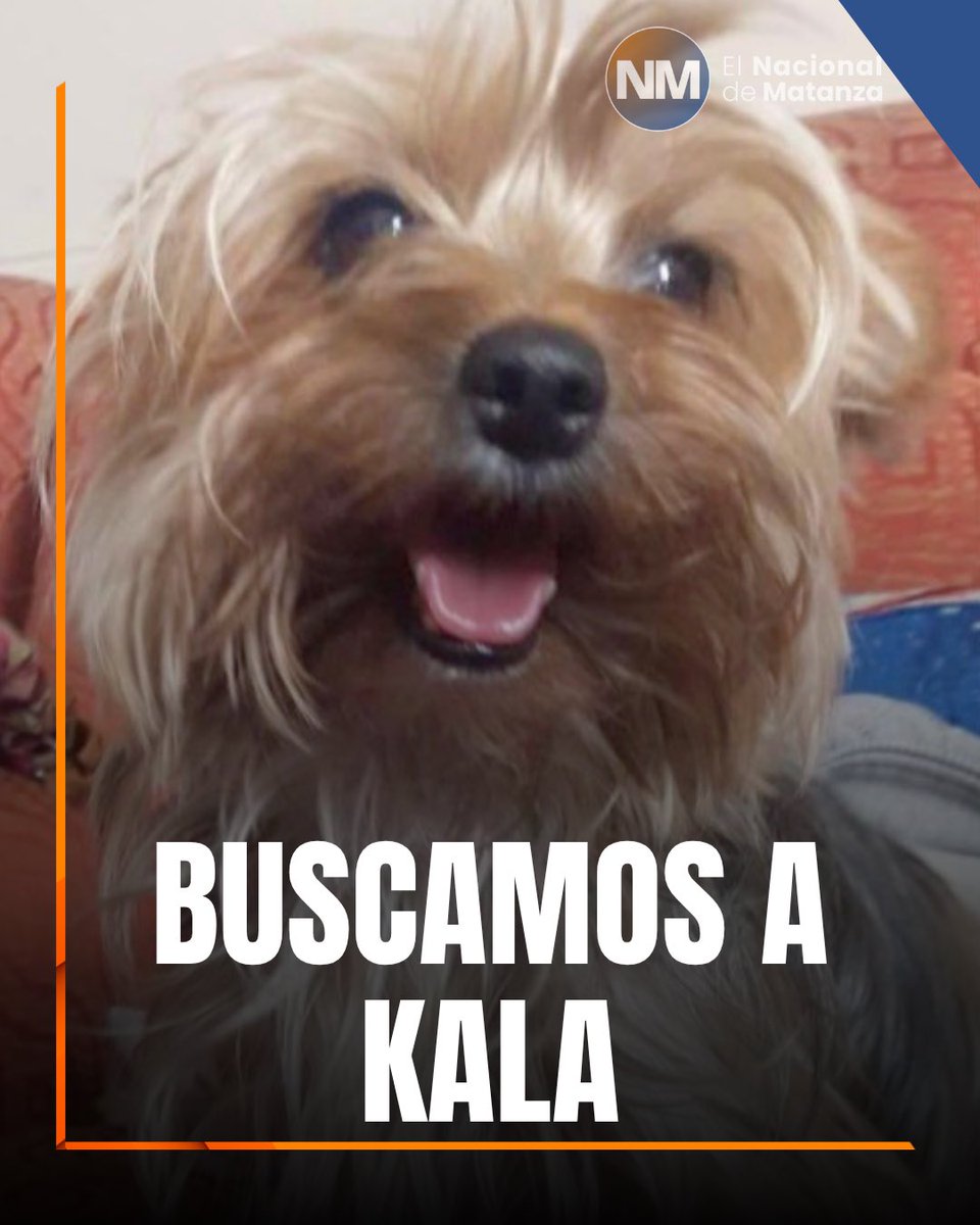 El Nacional de Matanza tweet media