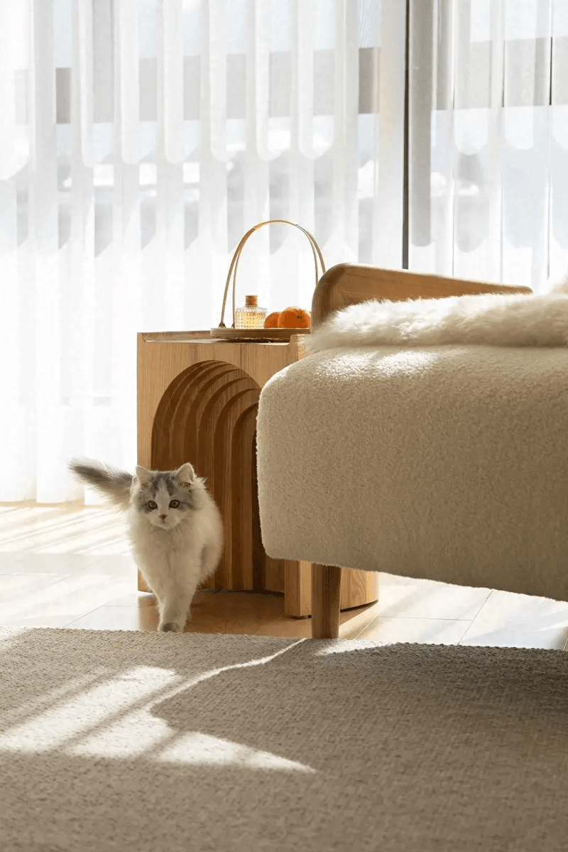 Rahul Raghvendra kulkarni tweet media