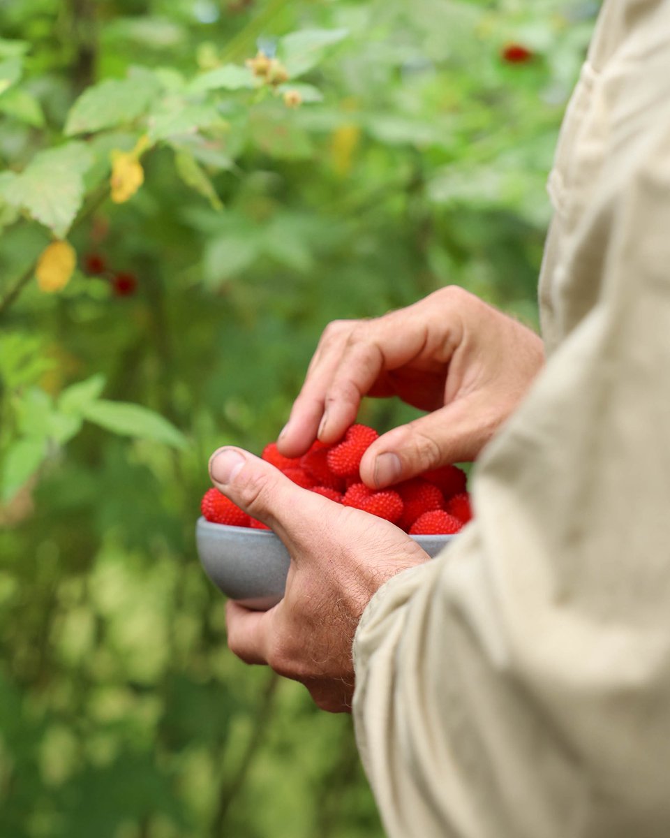 CrocHunterLodge tweet media