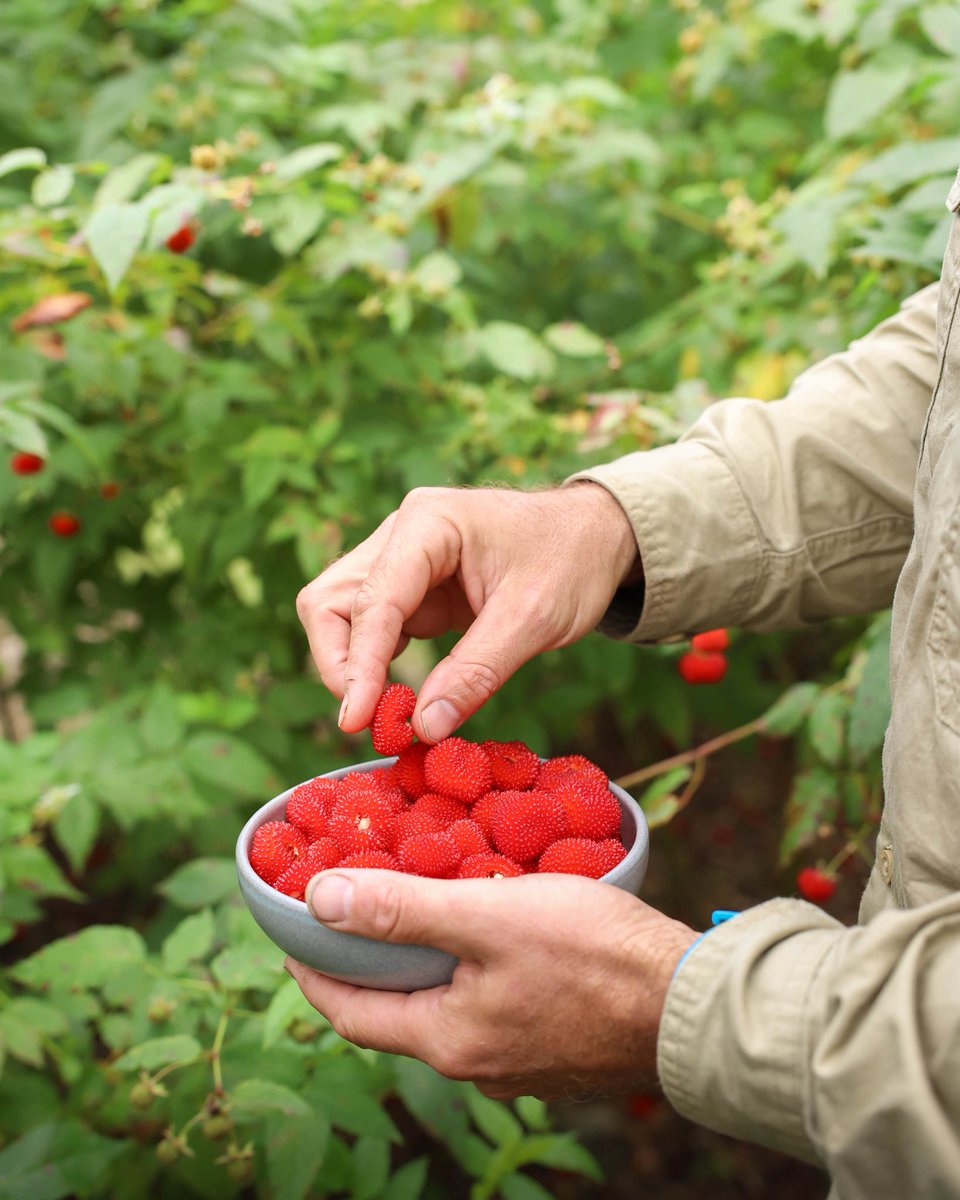 CrocHunterLodge tweet media
