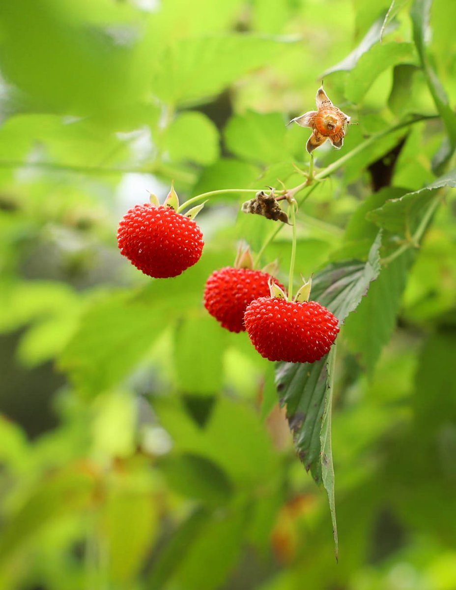 CrocHunterLodge tweet media