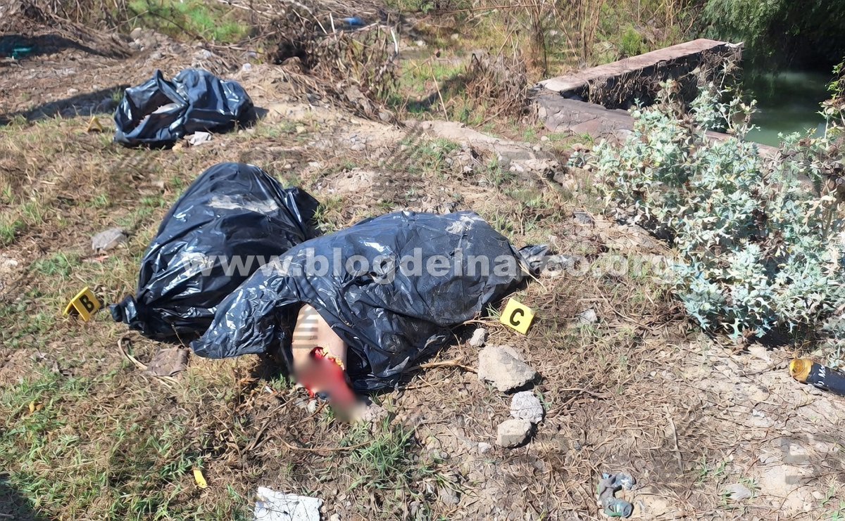 Blog del Narco México tweet media