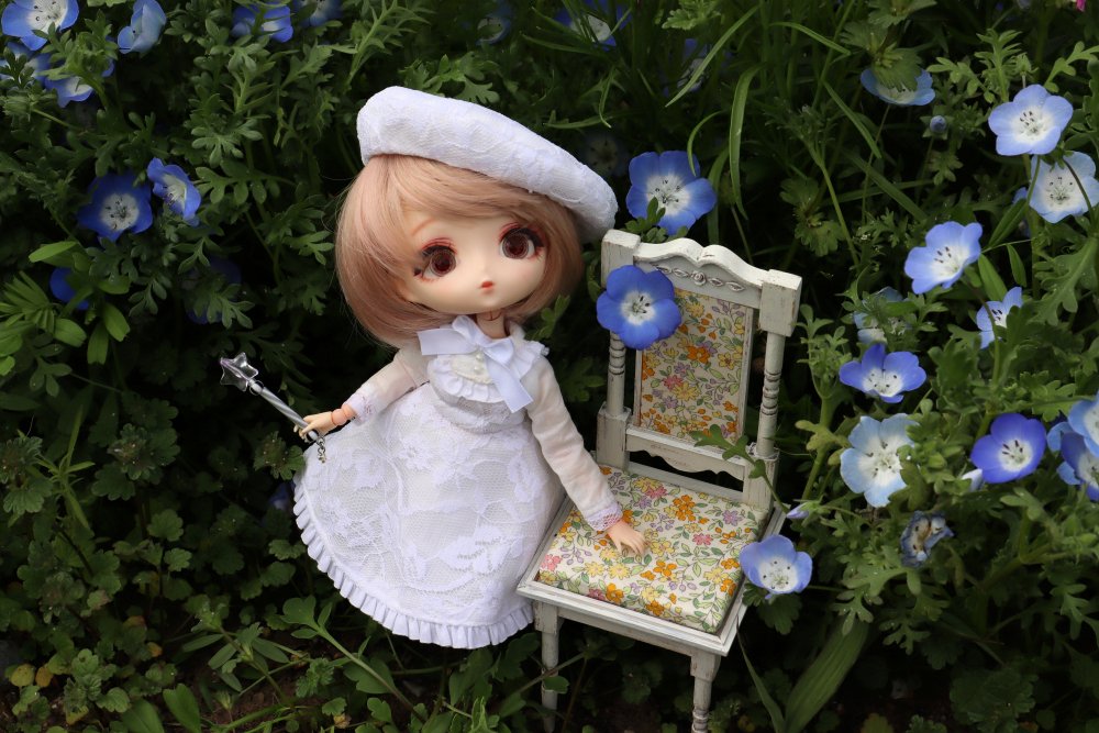 MSiroyagi's tweet photo. Harmonia bloom Seasonal Doll Charlotte MERONE.

ネモフィラっつ！！
素敵な柄のアンティークチェアはPetit Eさん。

#ハルモニアブルーム #あなたもハルモニア沼に沈んでみませんか？ https://t.co/QPSwmpawNe