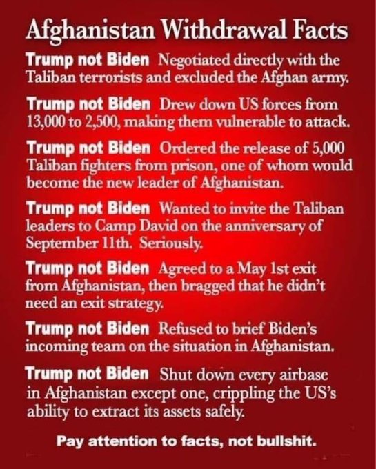 donaId trump is a pedophiIe tweet media
