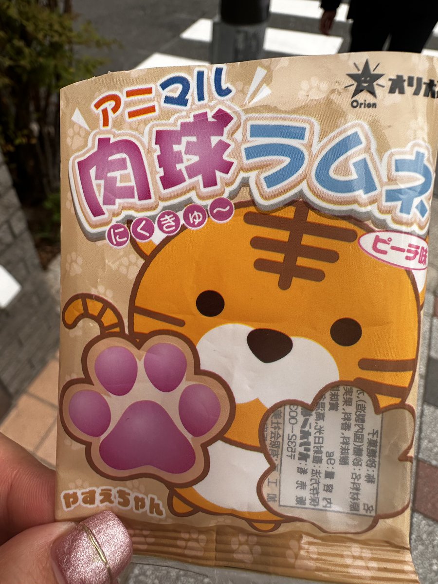 おはざま💤
今日も憎たらしいくらい晴れております☀️

昨日の配信来てくれた方々
ありがとうございました♪
ゆっくりだけどゲームも進んでめっちゃ楽しくなってきてる🎮

スケジュールに変更があったので再度共有‼️
※写真はクラスメイトがくれた肉球ラムネ🐾

では良き1日を🕺
今日もワッショイ💪