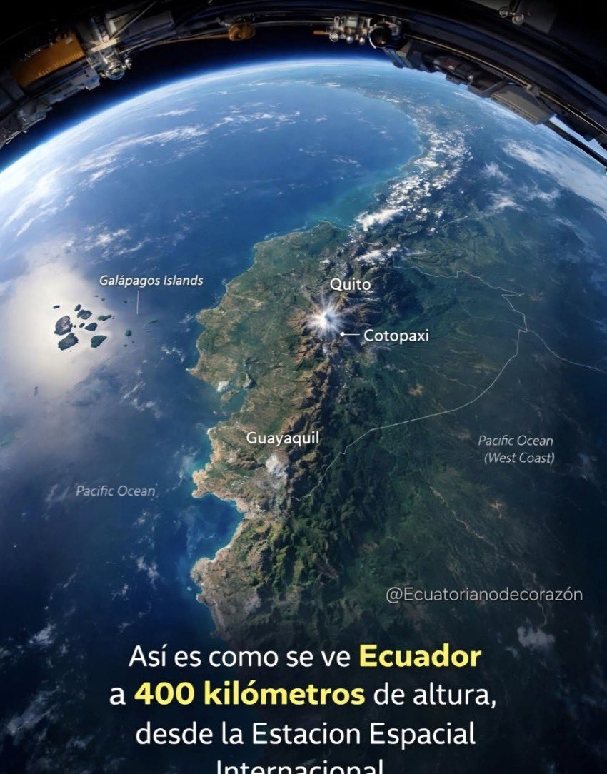 Roberto Alvarez W tweet media