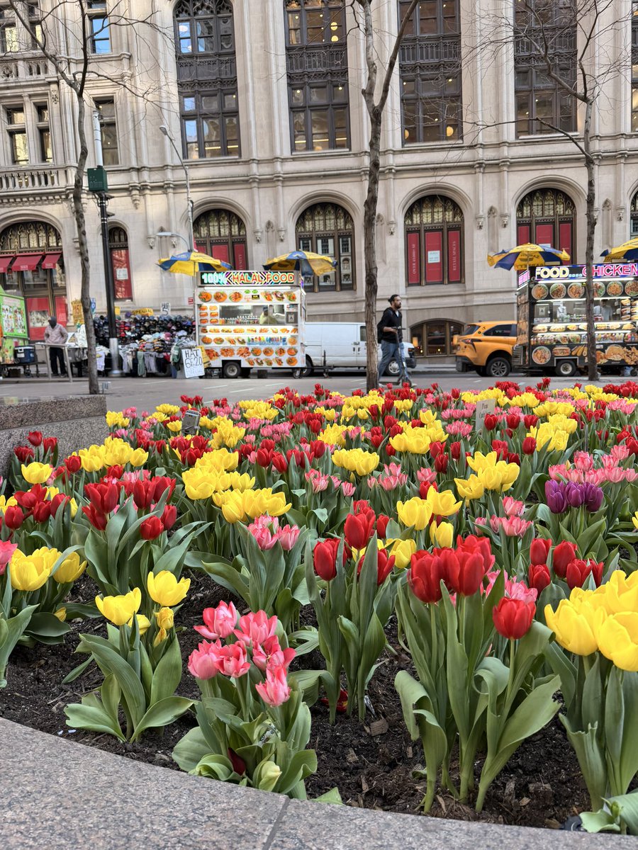 Cesar sin acento tweet media