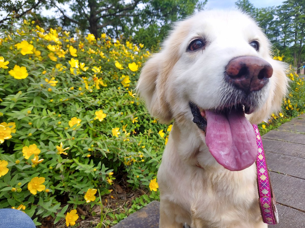 Focke-Wulf tweet media