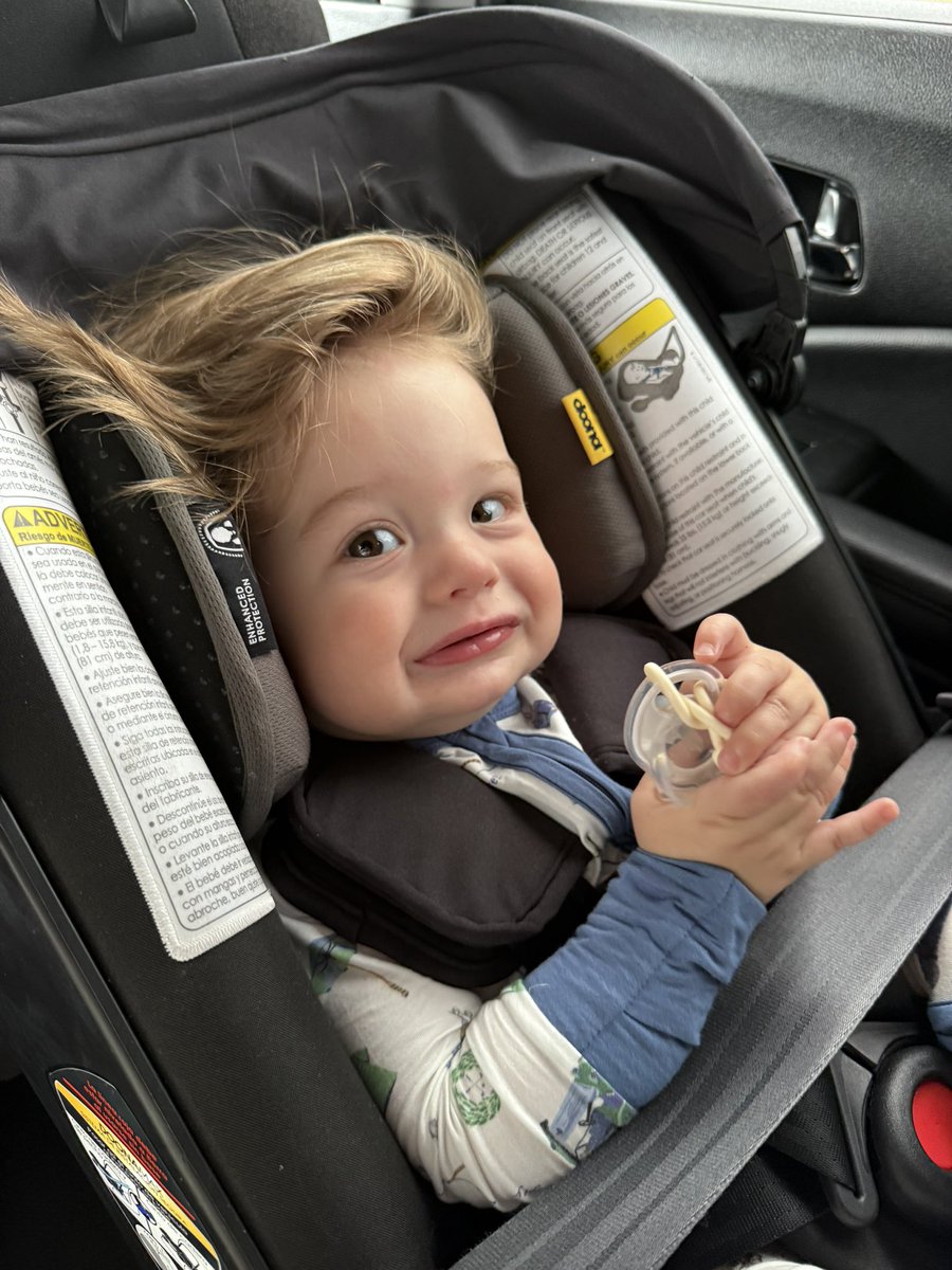 Maggie Rose tweet media