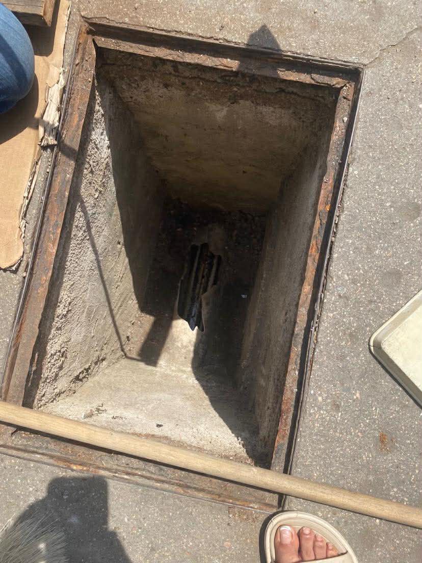 Monitor Oaxaca tweet media