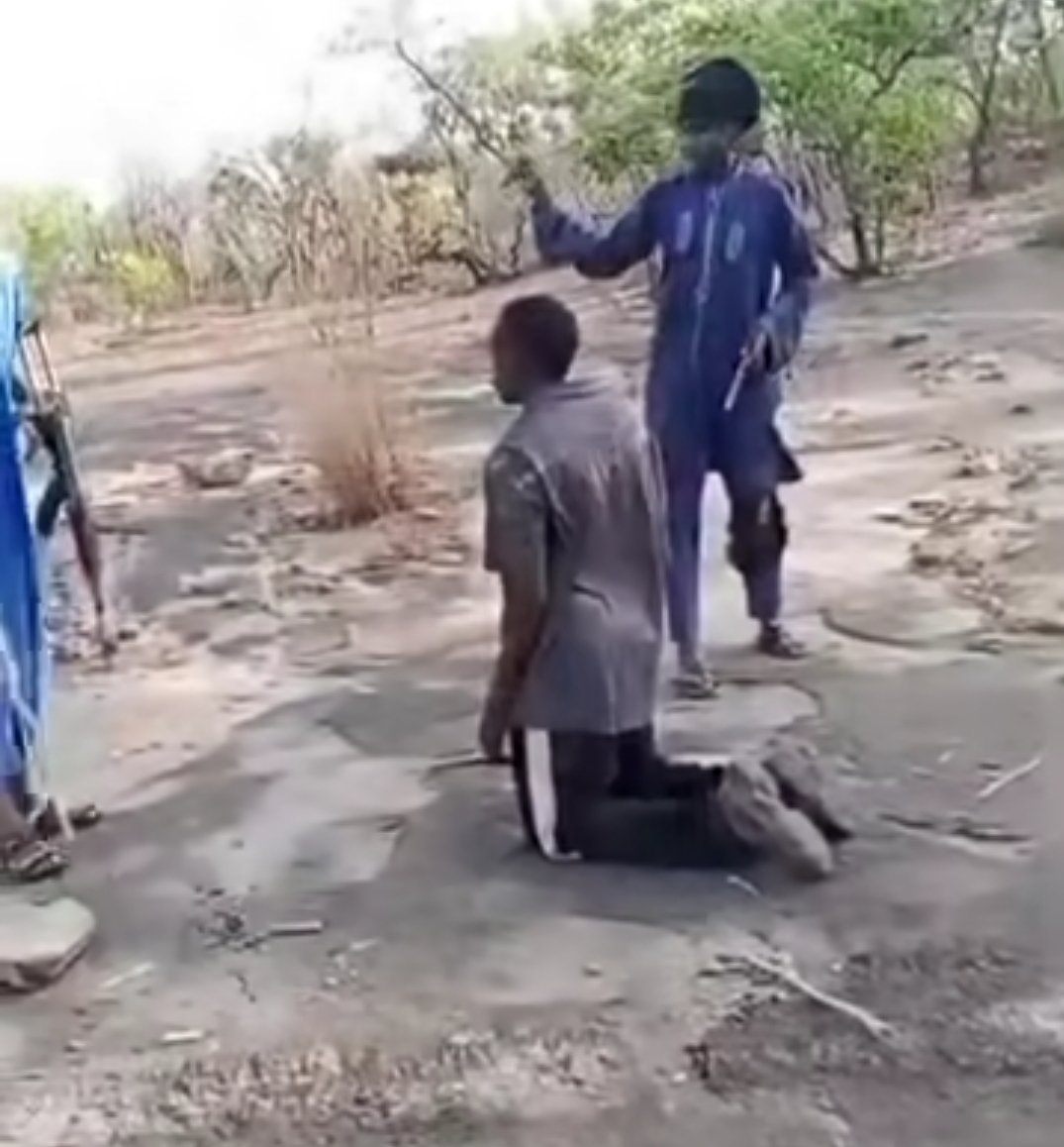 Great Oracle Extraordinary & Plenipotentiary. tweet media