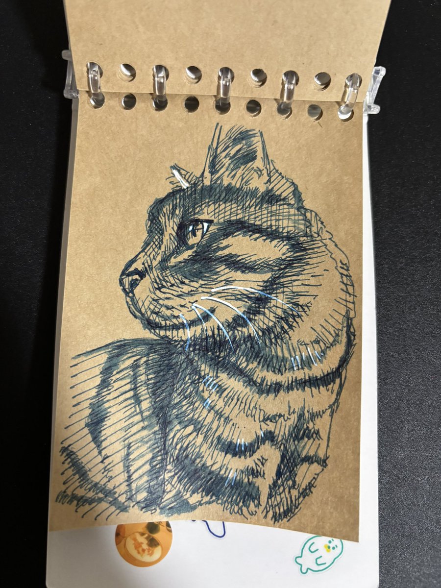 お茶♨️ tweet media