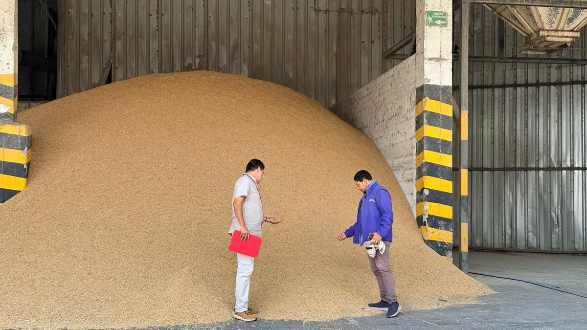 Agricultura_CZ5's tweet photo. #LosRíos | En el cantón Babahoyo realizamos seguimiento a la comercialización del arroz, socializando el Acuerdo Ministerial 002 y verificando facturas de compra y venta para asegurar el pago justo a nuestros productores.
#ElNuevoEcuador  🌾 https://t.co/PQT19dTD6E