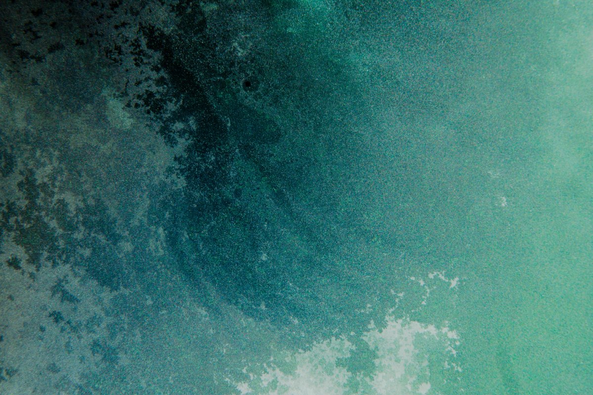 nexgridco's tweet image. Stop using flat blacks. Bookmark these for that perfect deep-grain, moody film aesthetic. 🌑🎥