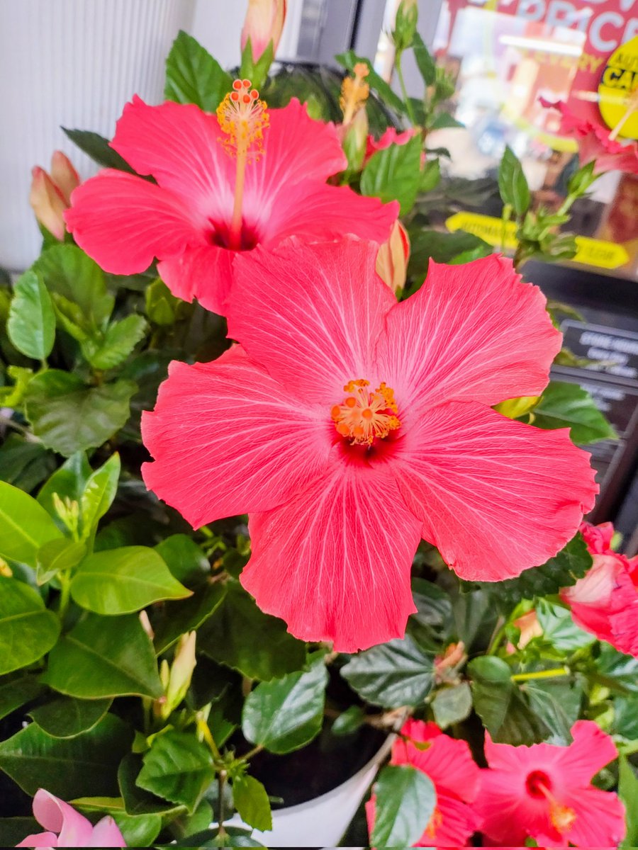 Cloudy, cool and comfy here in San Diego 💕