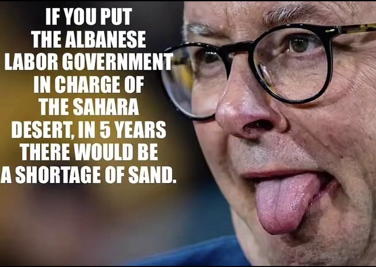 PawsontheThrottle tweet media