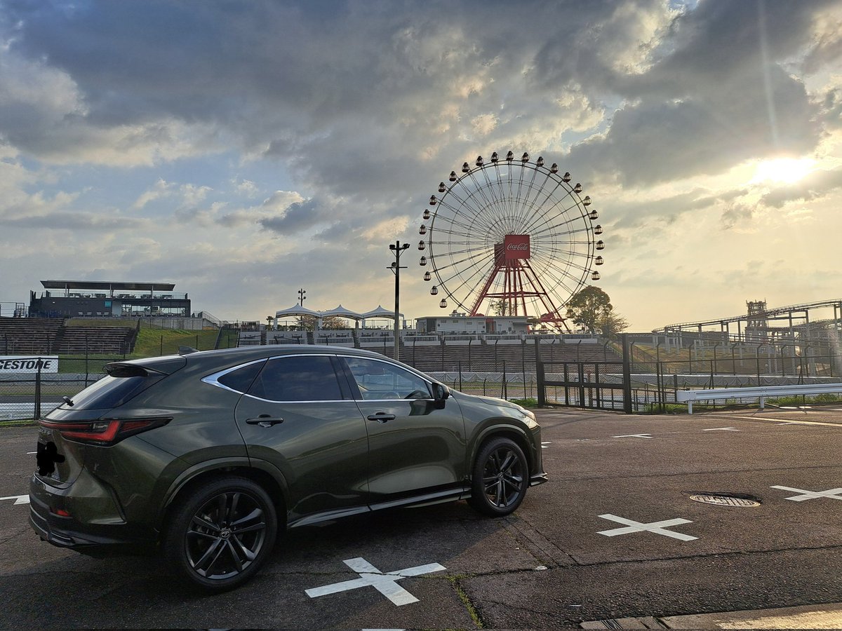 dssy (ディジィー)🟩 tweet media