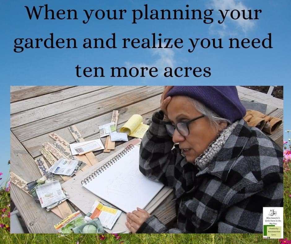 seedsoilsun tweet media