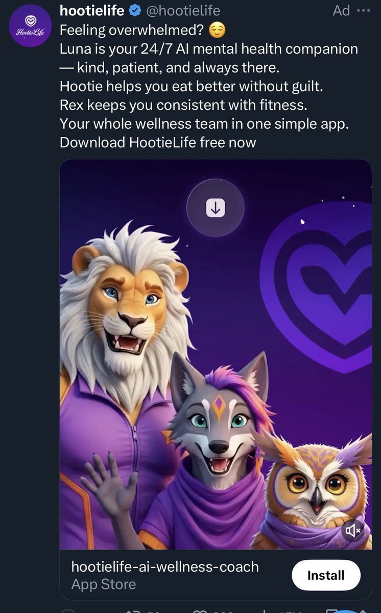 Return of the Baja tweet media