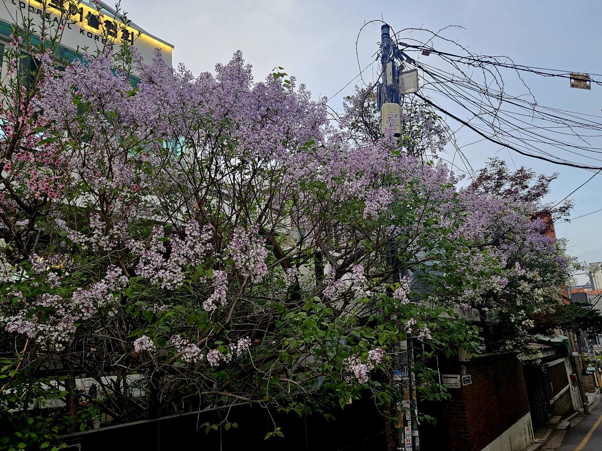 연호정수 tweet media