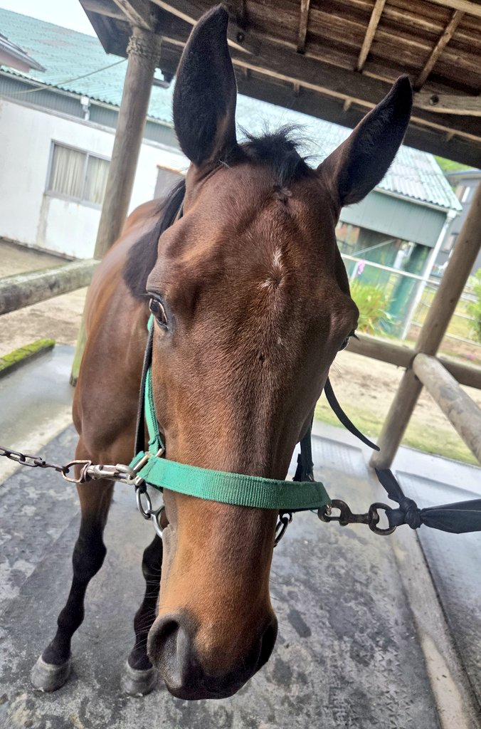 ひなちゃん tweet media