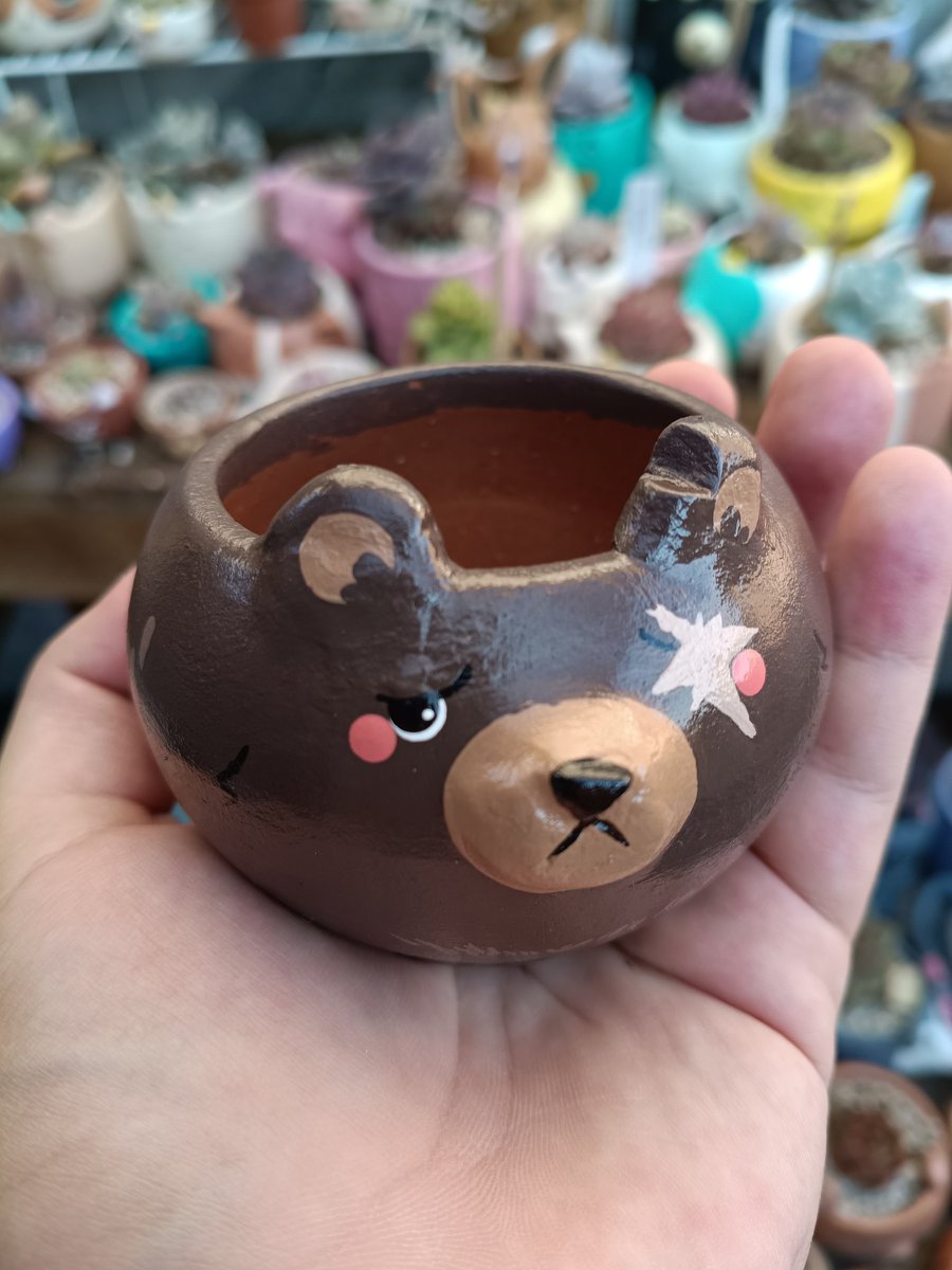 Jared (@jared_esc) on Twitter photo 