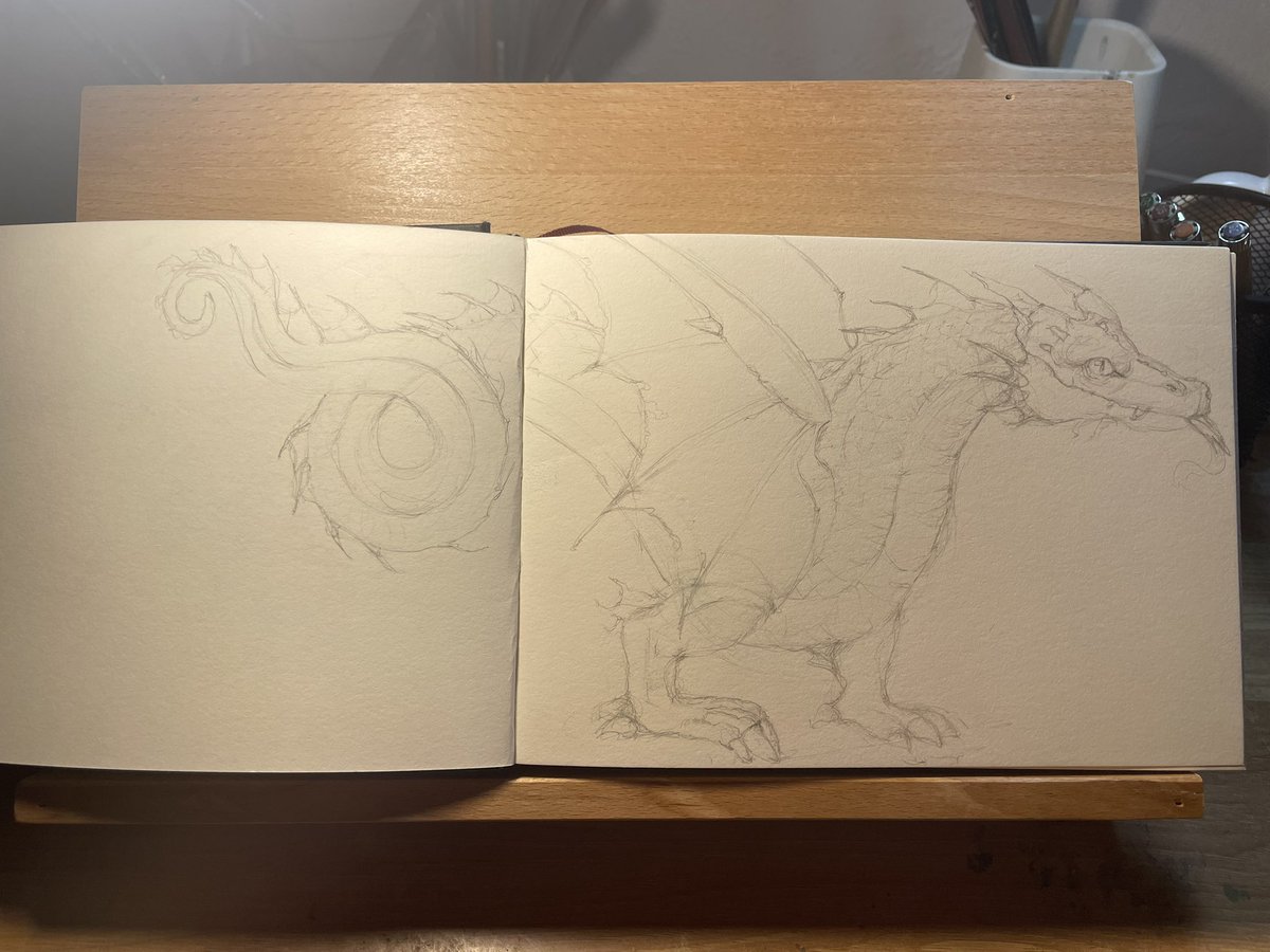 🇺🇦🇮🇱Viviana Hinojosa 💭 tweet media