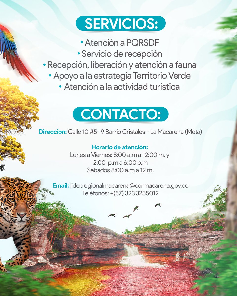 CORMACARENA's tweet photo. La regional La Macarena, brinda atención a la ciudadanía, recepción y manejo de fauna silvestre, apoyo a estrategias ambientales y acompañamiento a la actividad turística sostenible.

Conoce nuestros servicios, acércate y haz parte de la protección de nuestro patrimonio natural. https://t.co/UBLorHL8Kt