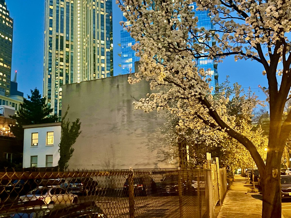 Digital Physics Film & Game 🎞️🕹️🤖 tweet media