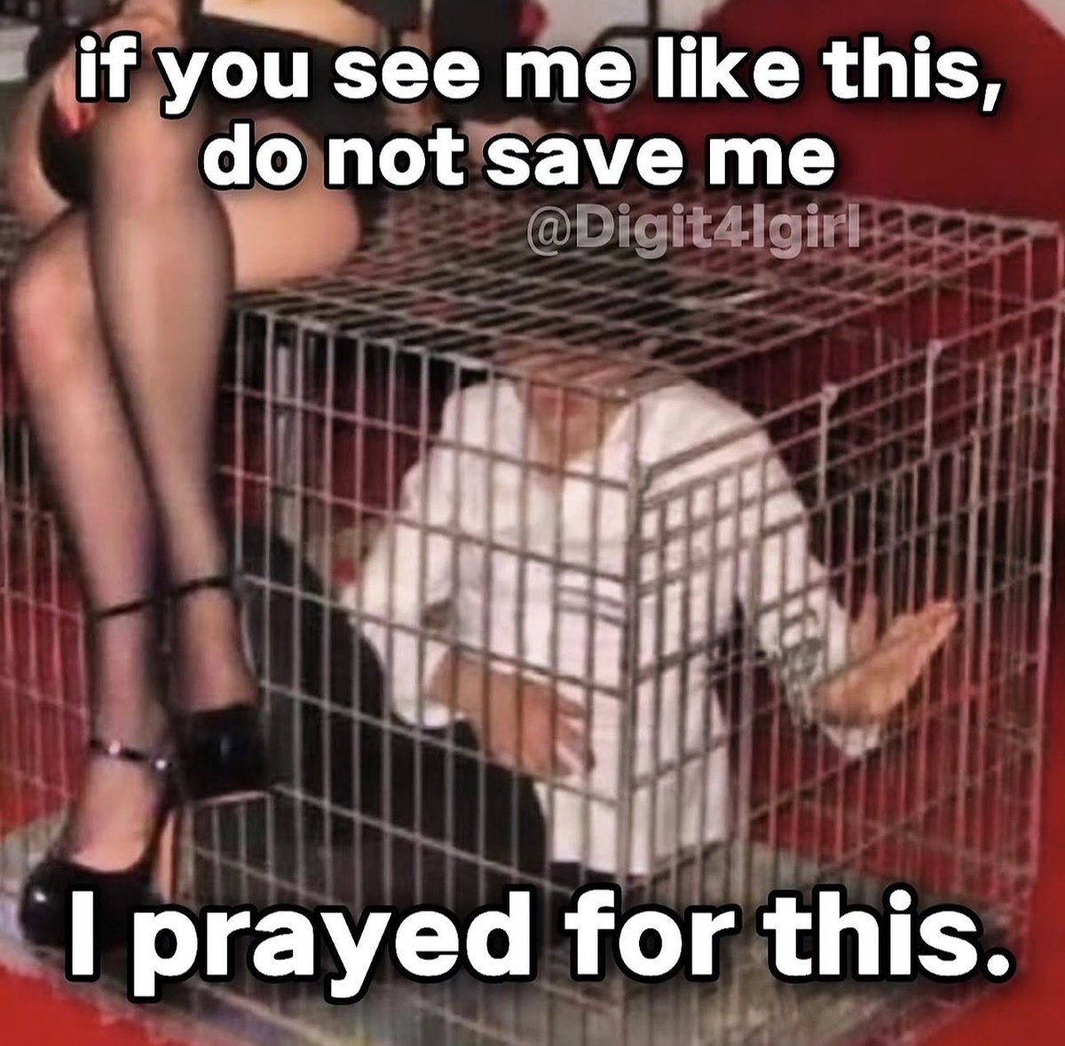 ★?♡ ✚! tweet media