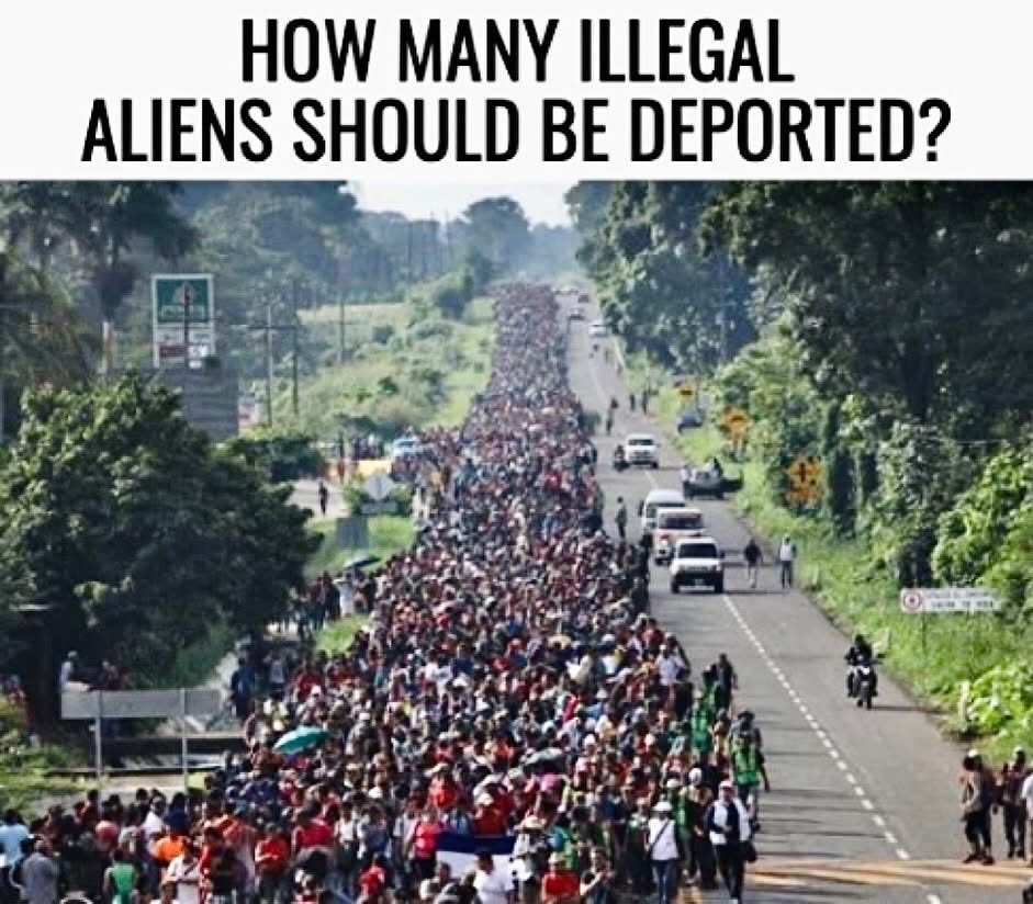 Declaration of Memes tweet media