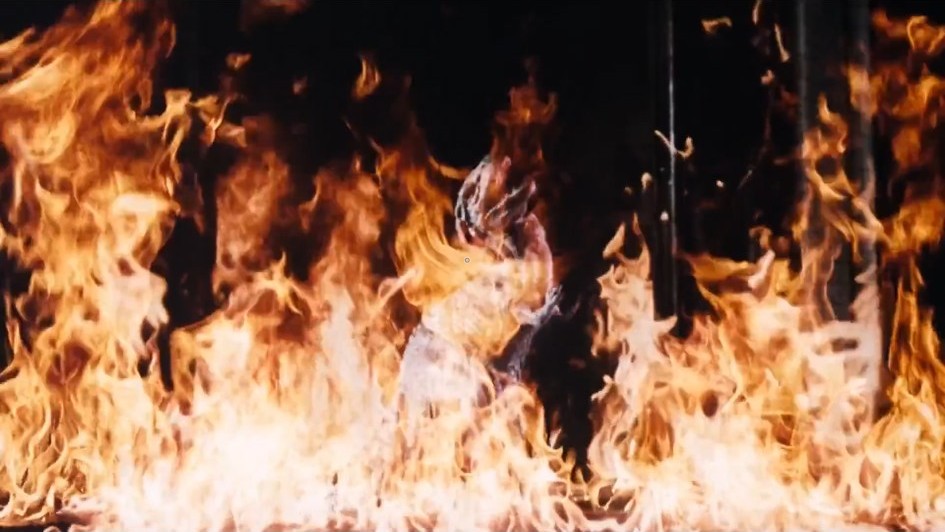 Meso☄️ tweet media