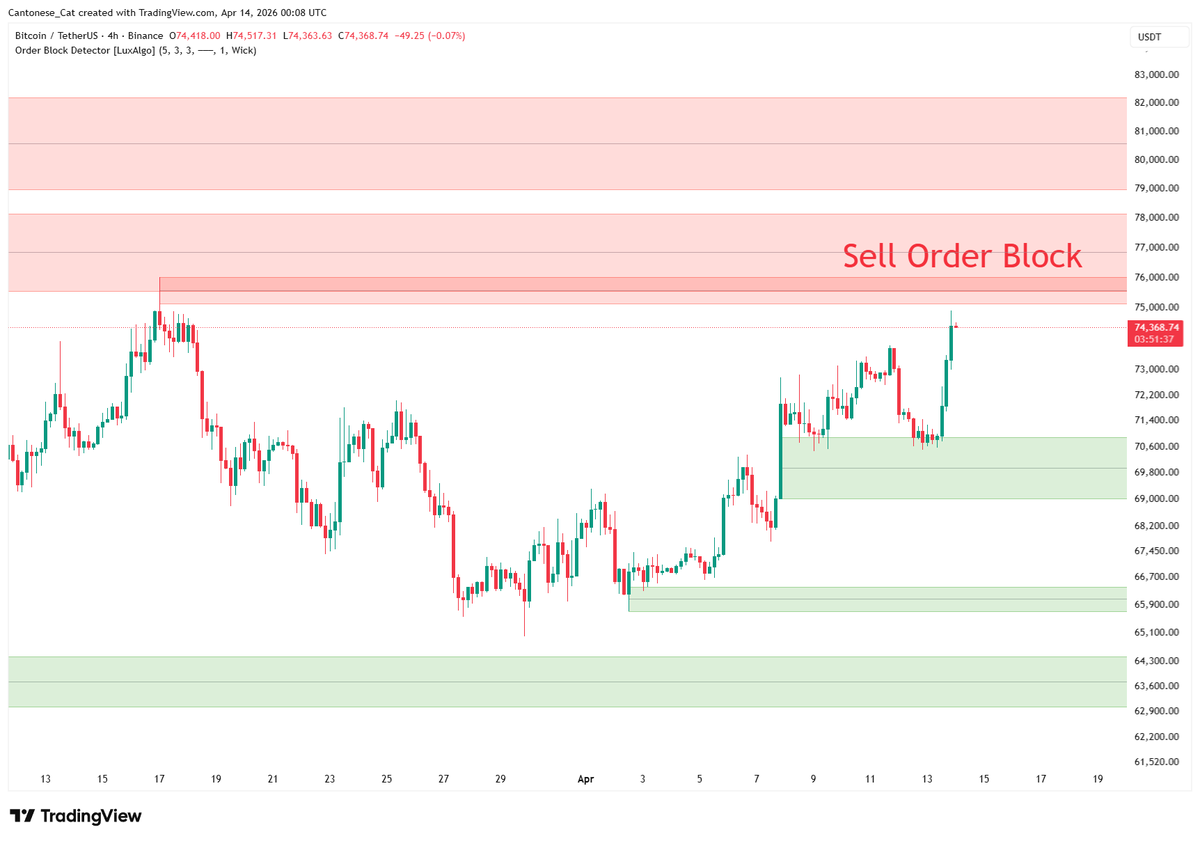 Cantonese Cat 🐱🐈 tweet media