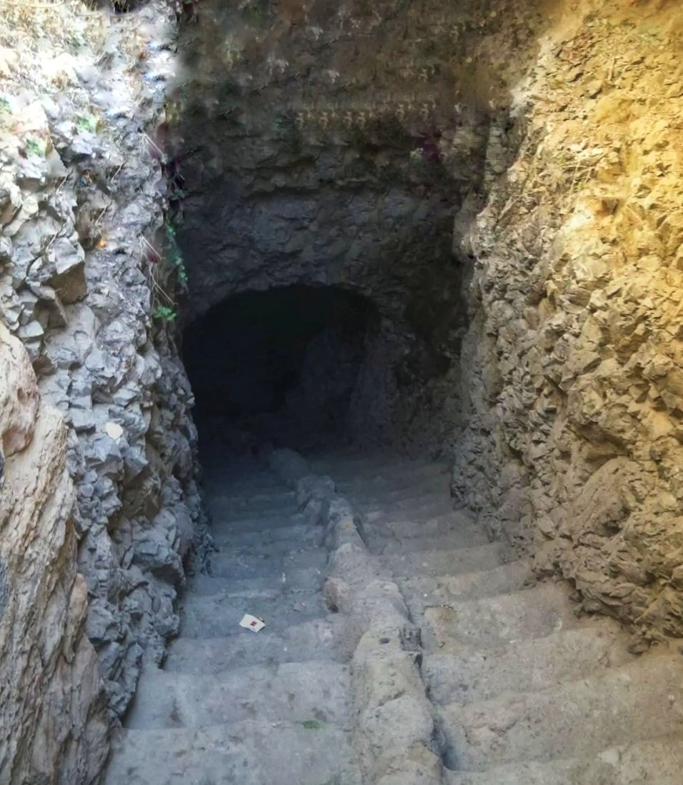 ابراهيم محمد | Ibrahim Mohammed 🇾🇪 tweet media