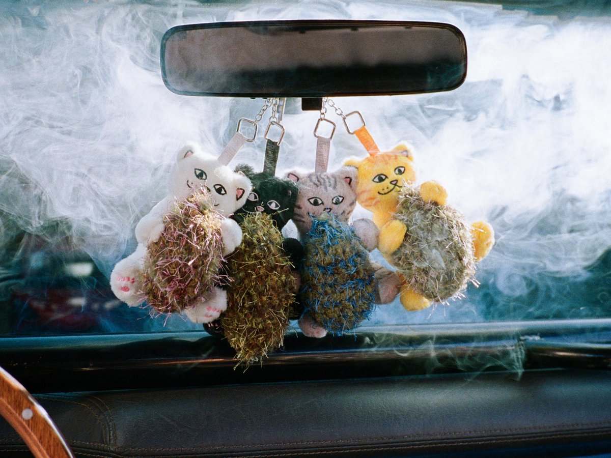 Weed Porn tweet media