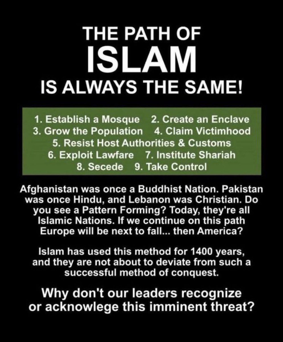 lions571 tweet media