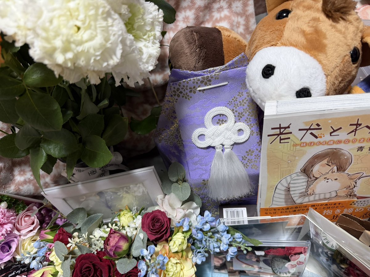 ベルパパさん<a href="/bellpapa1231/">ベル🌈パパ</a> 
のプレゼント企画で『老犬とわたし』の本が昨日届きました📚
ドップリと浸って読みたいので、週末読みたいと思います。（絶対泣いちゃうからね）
浸りきったらベルパパさんの気持ち継承でどなたかに繋げたいと思います💓
ベル様、ベルパパ様、ありがとうございます😊
#黒柴