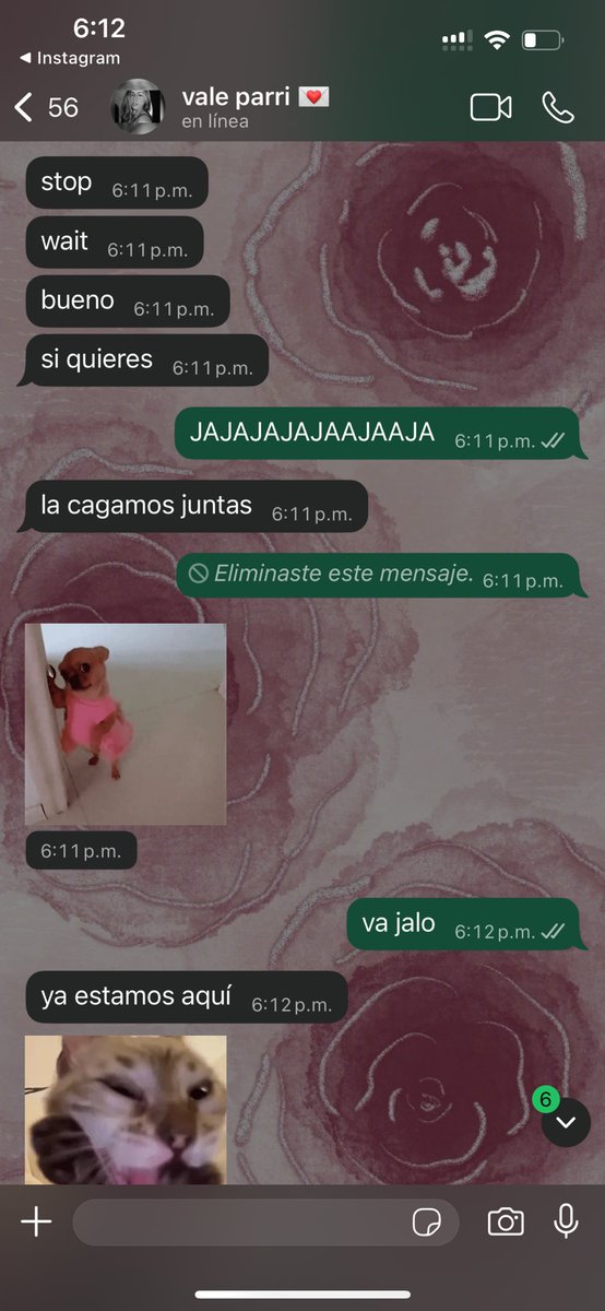 flor28397086's tweet photo. siempre juntas JAJAJJAJAJA https://t.co/qfcVocDwHo