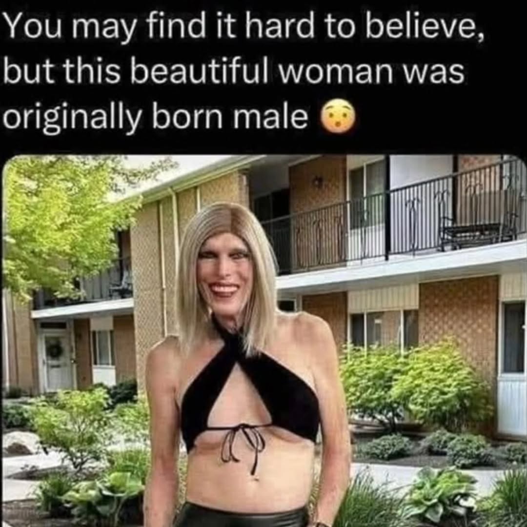 Mr. Star Spangled MAGA tweet media