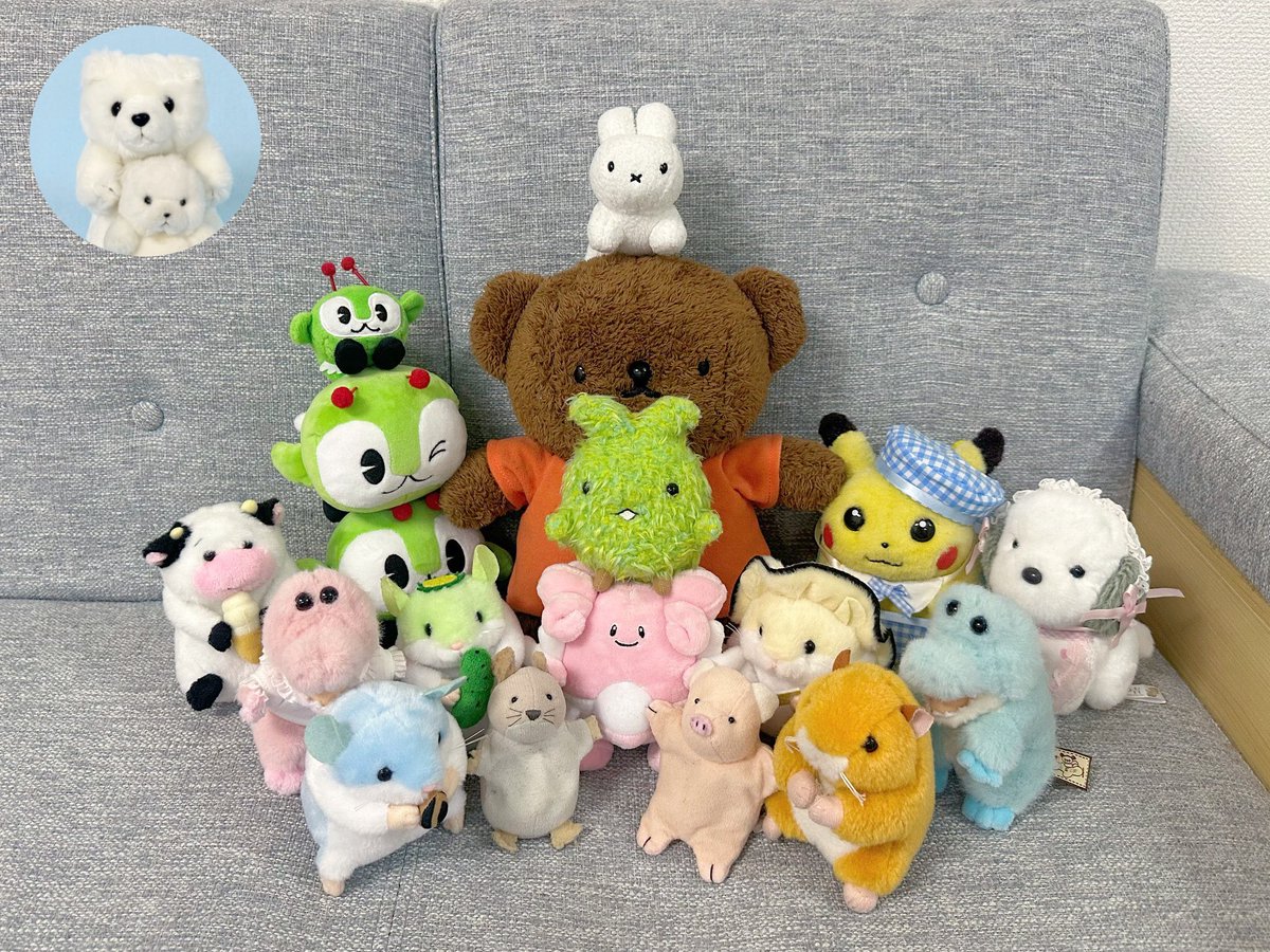 長年のオテダマネズミオーナーさんはもちろん、6月にオテダマネズミ
