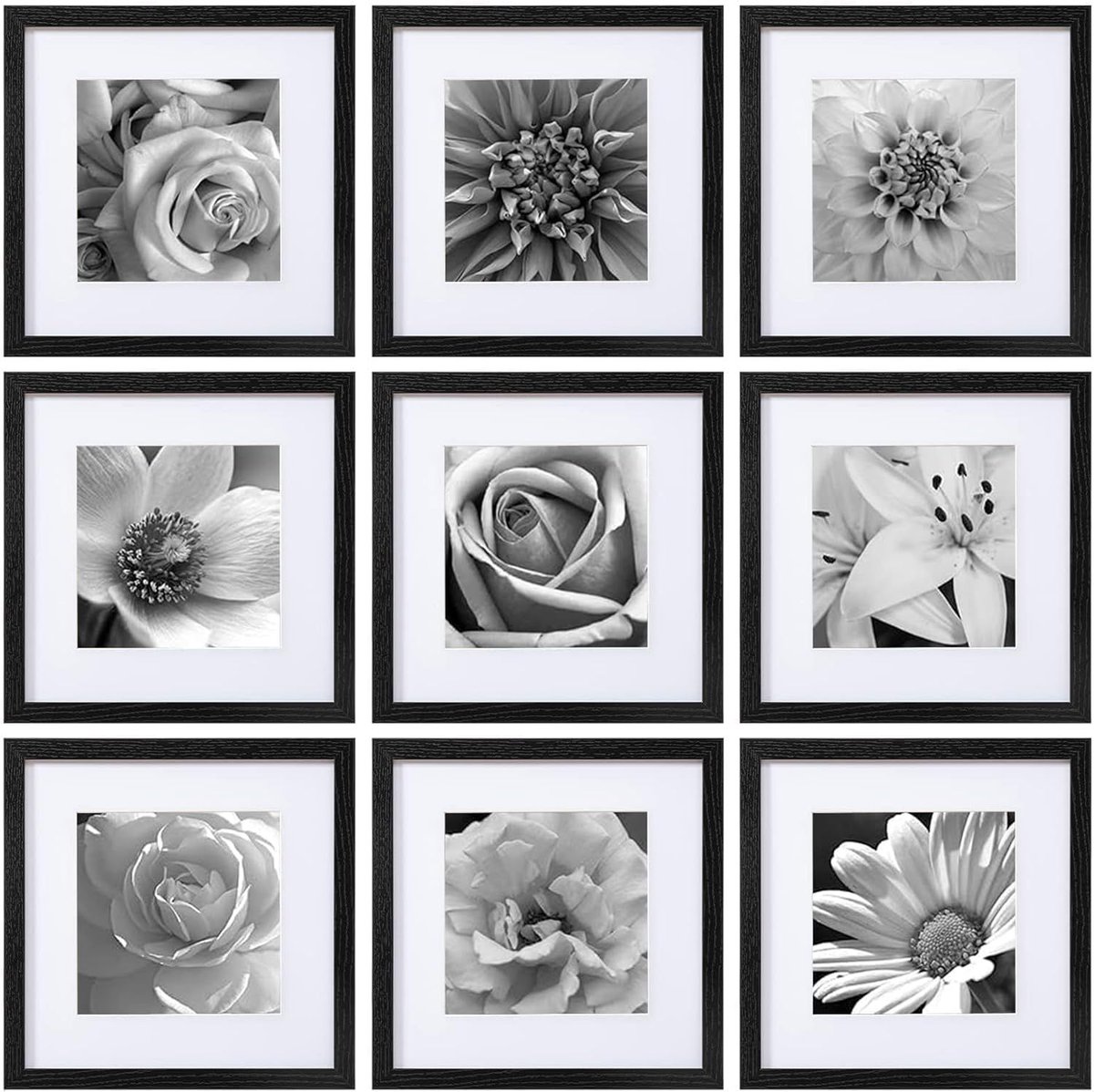OtterDeals's tweet image. 🖼️ 26% Off 12x12 Picture Frames — Set of 9 w/ Acrylic Cover — Only $36.99!
Gallery wall starter pack. Nine frames, clean look, done in minutes.
🔗 buff.ly/rnf3PqU
#OtterDeals #GalleryWall #PictureFrames #HomeDecor #InteriorDesign #Deals #OnlineShopping #Sale #WallArt