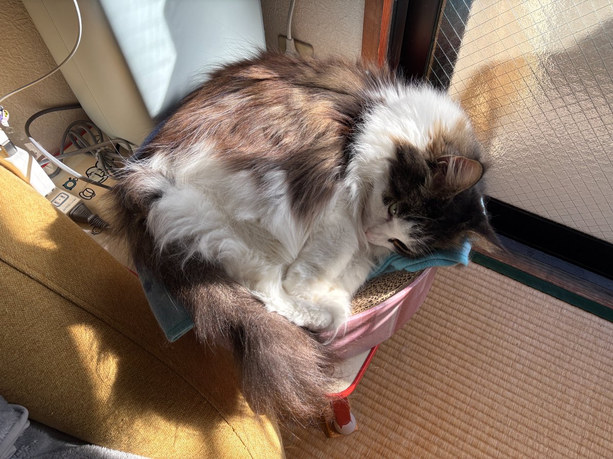 はりーねずみ@新作レトロゲーム作ってます tweet media